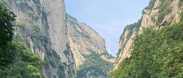 我們的愿景